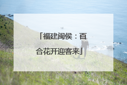 福建闽侯：百合花开迎客来