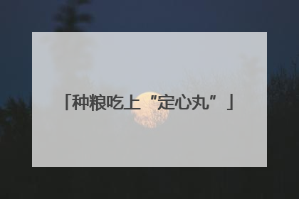 种粮吃上“定心丸”