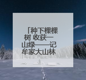 种下棵棵树 收获一山绿——记牟家大山林业管理站站长王占胜