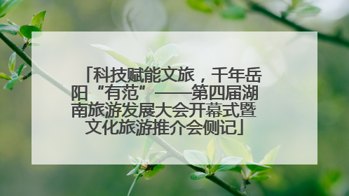 科技赋能文旅，千年岳阳“有范”——第四届湖南旅游发展大会开幕式暨文化旅游推介会侧记