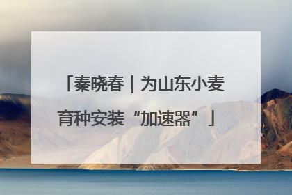 秦晓春｜为山东小麦育种安装“加速器”