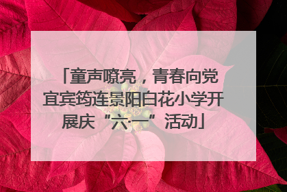 童声嘹亮，青春向党 宜宾筠连景阳白花小学开展庆“六·一”活动