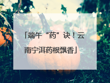 端午“药”诀！云南宁洱药根飘香