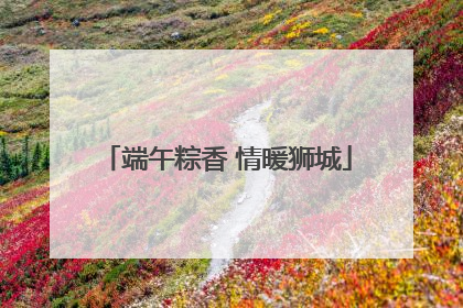 端午粽香 情暖狮城