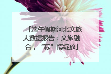端午假期河北文旅大数据报告：文旅融合，“粽”情绽放