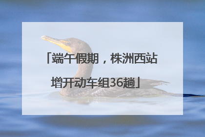 端午假期，株洲西站增开动车组36趟