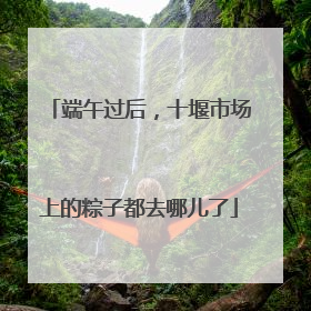端午过后，十堰市场上的粽子都去哪儿了