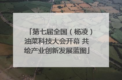第七届全国（杨凌）油菜科技大会开幕 共绘产业创新发展蓝图