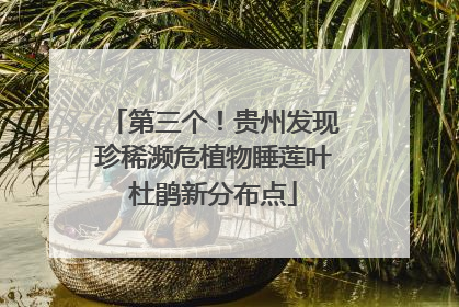 第三个！贵州发现珍稀濒危植物睡莲叶杜鹃新分布点