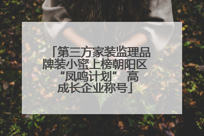第三方家装监理品牌装小蜜上榜朝阳区 “凤鸣计划” 高成长企业称号