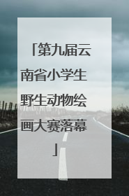 第九届云南省小学生野生动物绘画大赛落幕