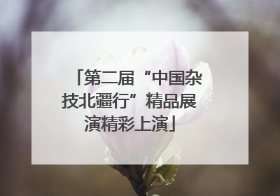 第二届“中国杂技北疆行”精品展演精彩上演