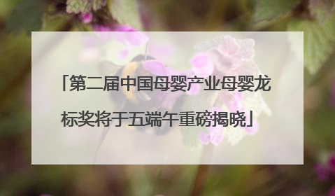 第二届中国母婴产业母婴龙标奖将于五端午重磅揭晓
