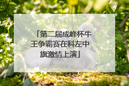 第二届成峰杯牛王争霸赛在科左中旗激情上演