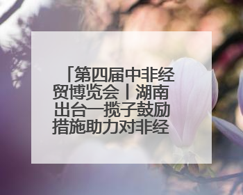 第四届中非经贸博览会丨湖南出台一揽子鼓励措施助力对非经贸发展