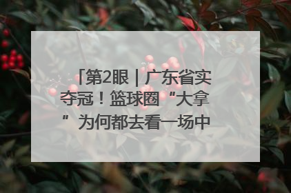 第2眼｜广东省实夺冠！篮球圈“大拿”为何都去看一场中学生比赛？