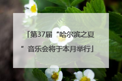 第37届“哈尔滨之夏”音乐会将于本月举行