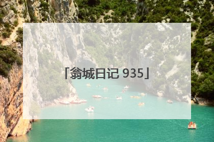 翁城日记 935
