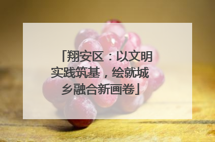 翔安区：以文明实践筑基，绘就城乡融合新画卷