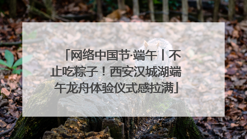 网络中国节·端午丨不止吃粽子！西安汉城湖端午龙舟体验仪式感拉满