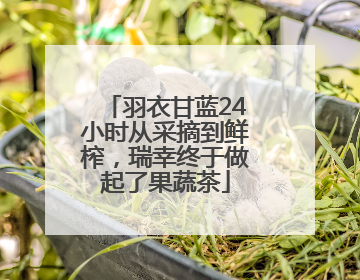 羽衣甘蓝24小时从采摘到鲜榨，瑞幸终于做起了果蔬茶