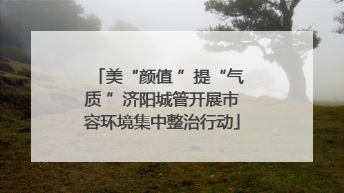 美“颜值 ”提“气质 ”济阳城管开展市容环境集中整治行动