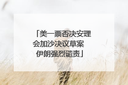 美一票否决安理会加沙决议草案 伊朗强烈谴责