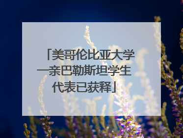 美哥伦比亚大学一亲巴勒斯坦学生代表已获释