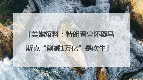 美媒爆料：特朗普曾怀疑马斯克“削减1万亿”是吹牛