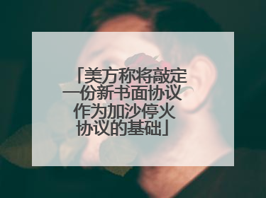 美方称将敲定一份新书面协议 作为加沙停火协议的基础