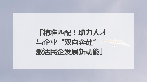 精准匹配！助力人才与企业“双向奔赴” 激活民企发展新动能