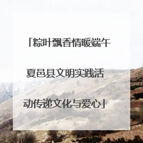 粽叶飘香情暖端午 夏邑县文明实践活动传递文化与爱心