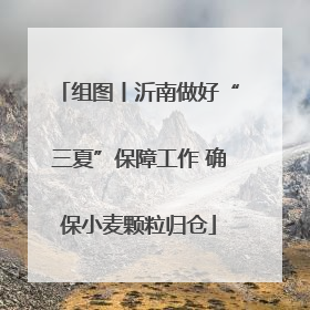 组图丨沂南做好“三夏”保障工作 确保小麦颗粒归仓