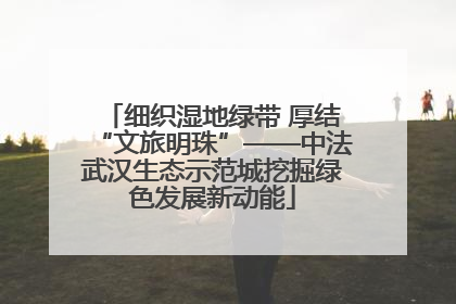 细织湿地绿带 厚结“文旅明珠”——中法武汉生态示范城挖掘绿色发展新动能