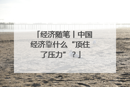 经济随笔丨中国经济靠什么“顶住了压力”？