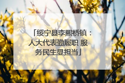 绥宁县李熙桥镇：人大代表勤履职 服务民生显担当