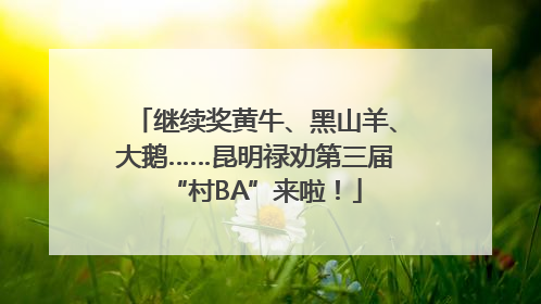 继续奖黄牛、黑山羊、大鹅……昆明禄劝第三届“村BA”来啦！