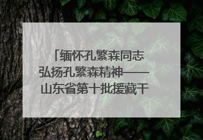 缅怀孔繁森同志 弘扬孔繁森精神——山东省第十批援藏干部人才清明节前到岗巴县开展党性教育