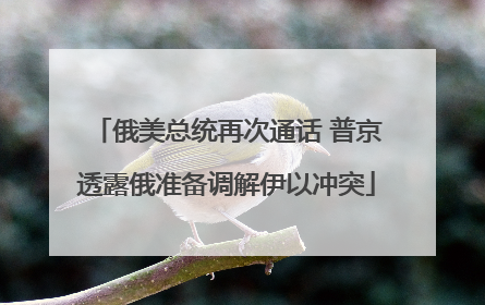俄美总统再次通话 普京透露俄准备调解伊以冲突