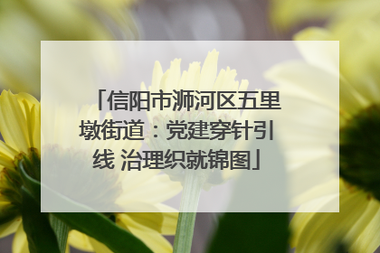 信阳市浉河区五里墩街道：党建穿针引线 治理织就锦图