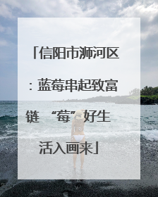 信阳市浉河区：蓝莓串起致富链 “莓”好生活入画来