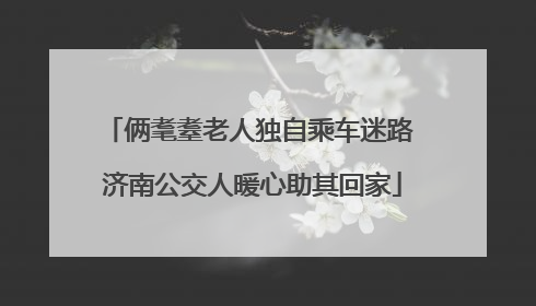 俩耄耋老人独自乘车迷路 济南公交人暖心助其回家