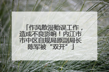 作风散漫贻误工作，造成不良影响！内江市市中区自规局原副局长陈军被“双开”