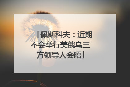 佩斯科夫：近期不会举行美俄乌三方领导人会晤