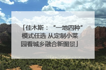 佳木斯：“一地四种” 模式任选 从定制小菜园看城乡融合新图景