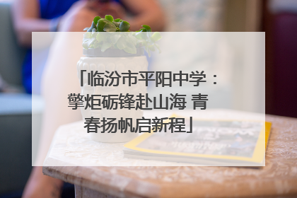 临汾市平阳中学：擎炬砺锋赴山海 青春扬帆启新程