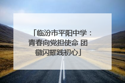 临汾市平阳中学：青春向党担使命 团徽闪耀践初心