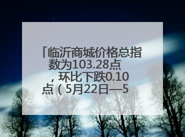 临沂商城价格总指数为103.28点，环比下跌0.10点（5月22日—5月28日）