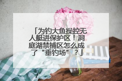 为钓大鱼操控无人艇进保护区！洞庭湖禁捕区怎么成了“垂钓场”？