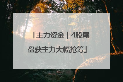 主力资金｜4股尾盘获主力大幅抢筹
